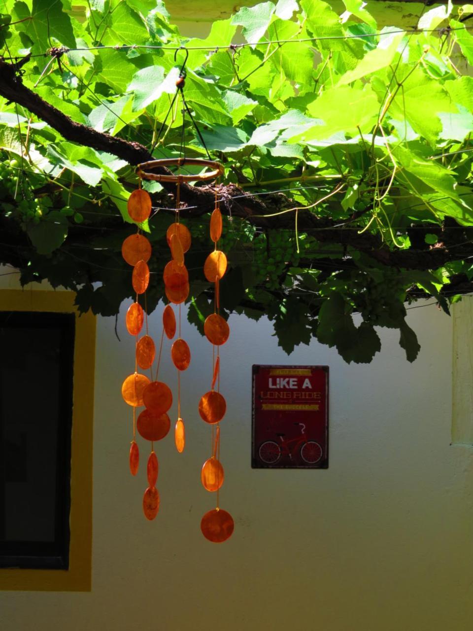 Chicamocha Hostel San Gil Extérieur photo